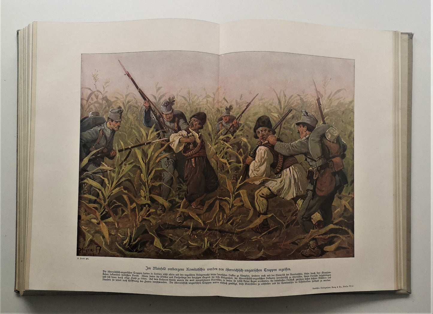 Der Krieg 1914/17 in Wort und Bild