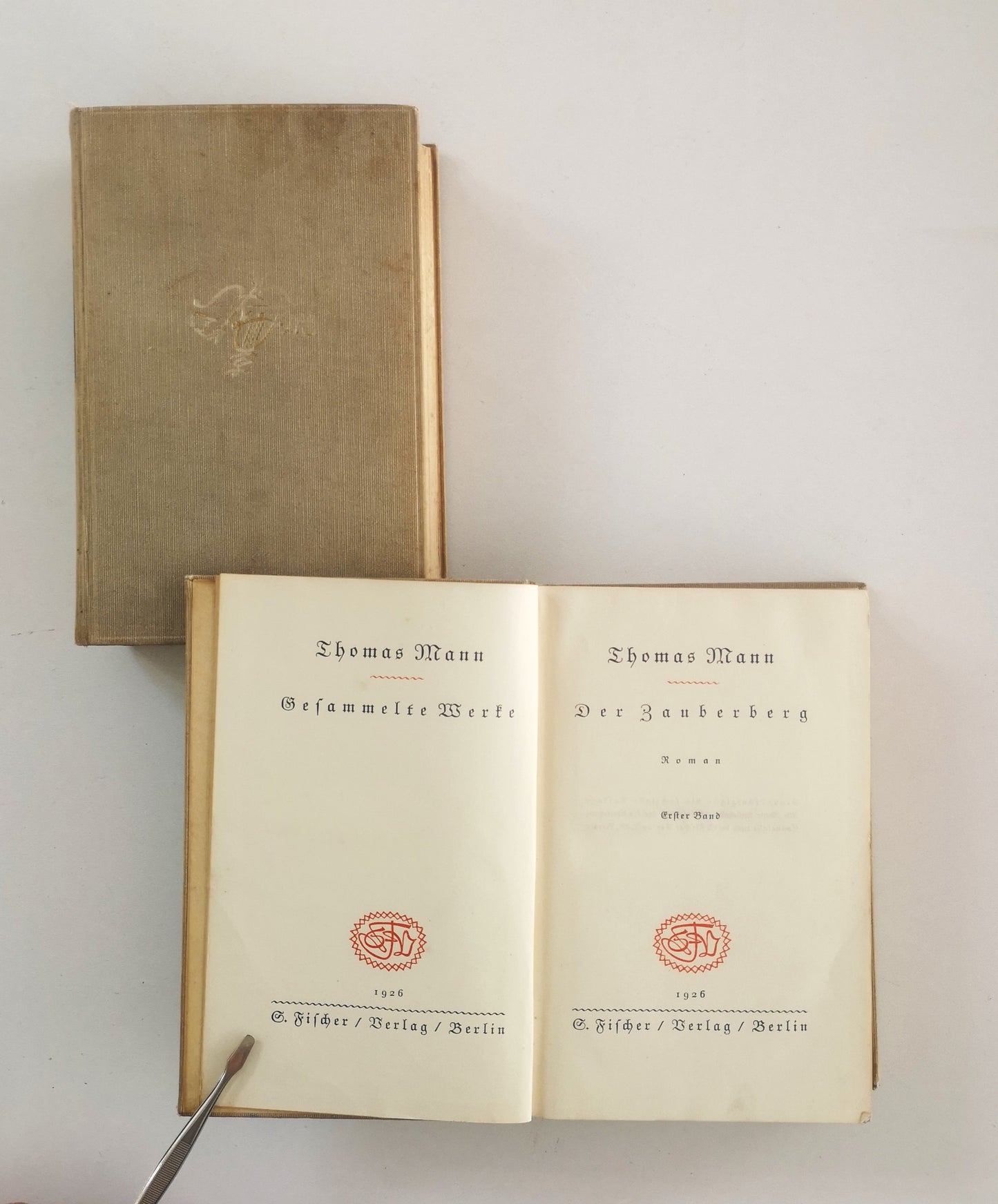 Der Zauberberg - 2 Bände (Gesammelte Werke)