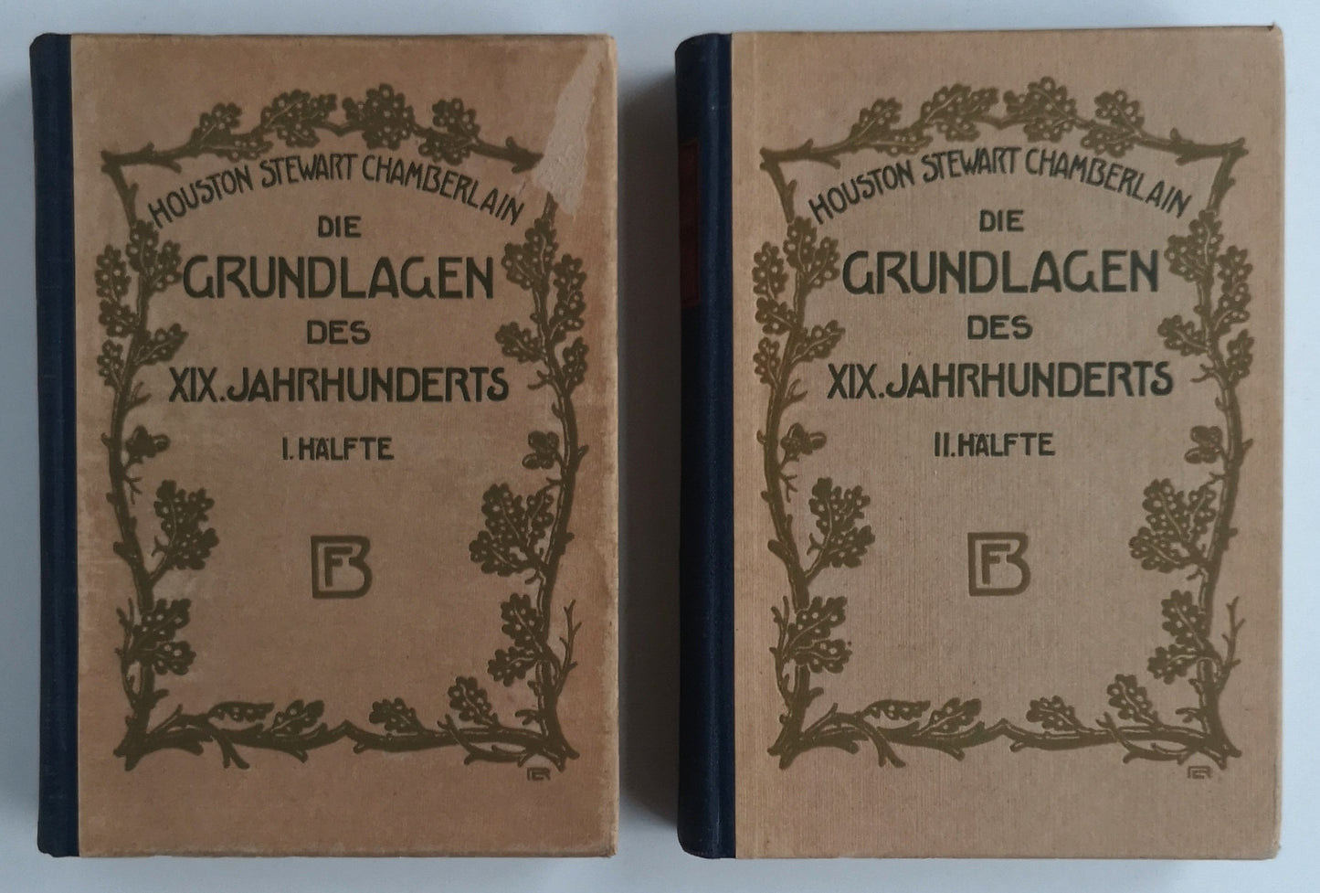 Die Grundlagen des neunzehnten Jahrhunderts - 2 Bände