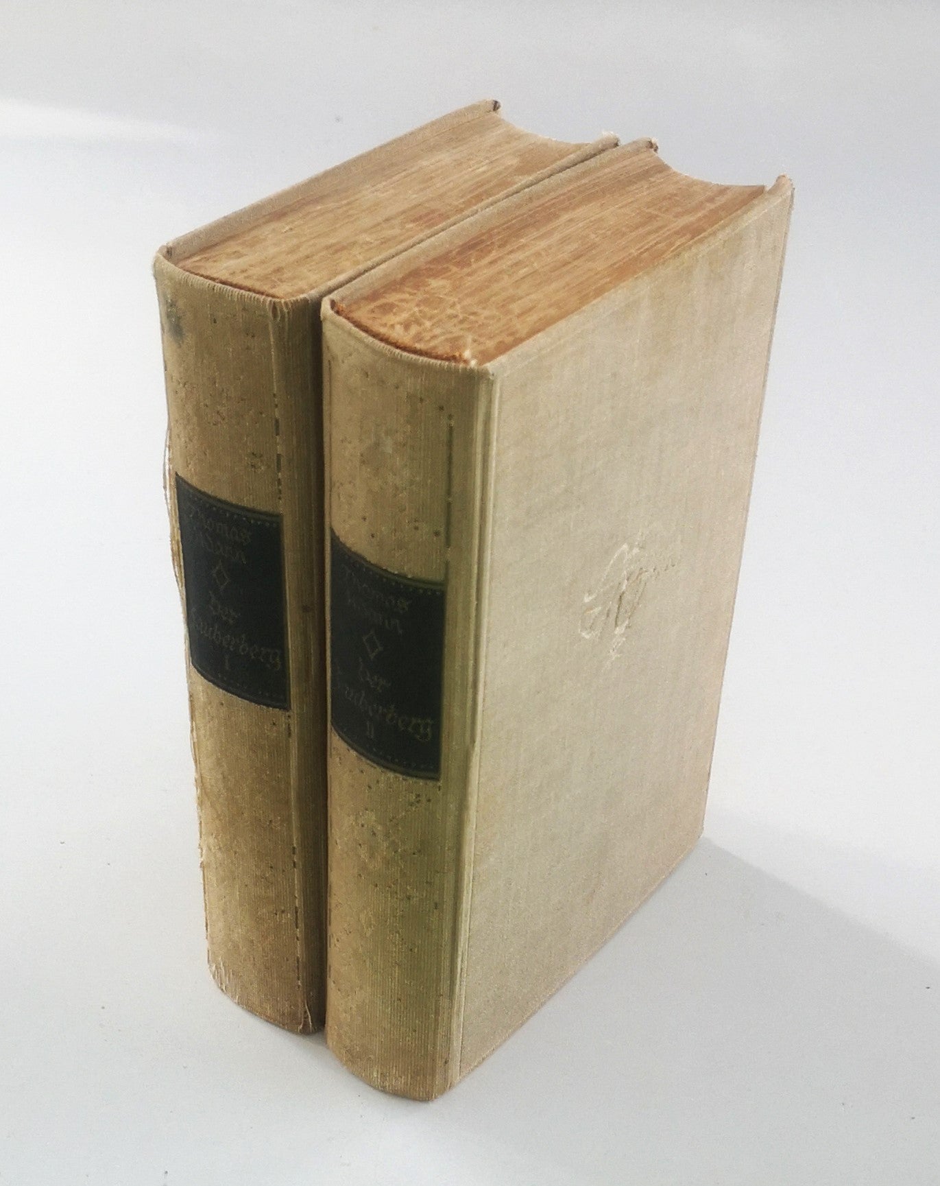 Der Zauberberg - 2 Bände (Gesammelte Werke)