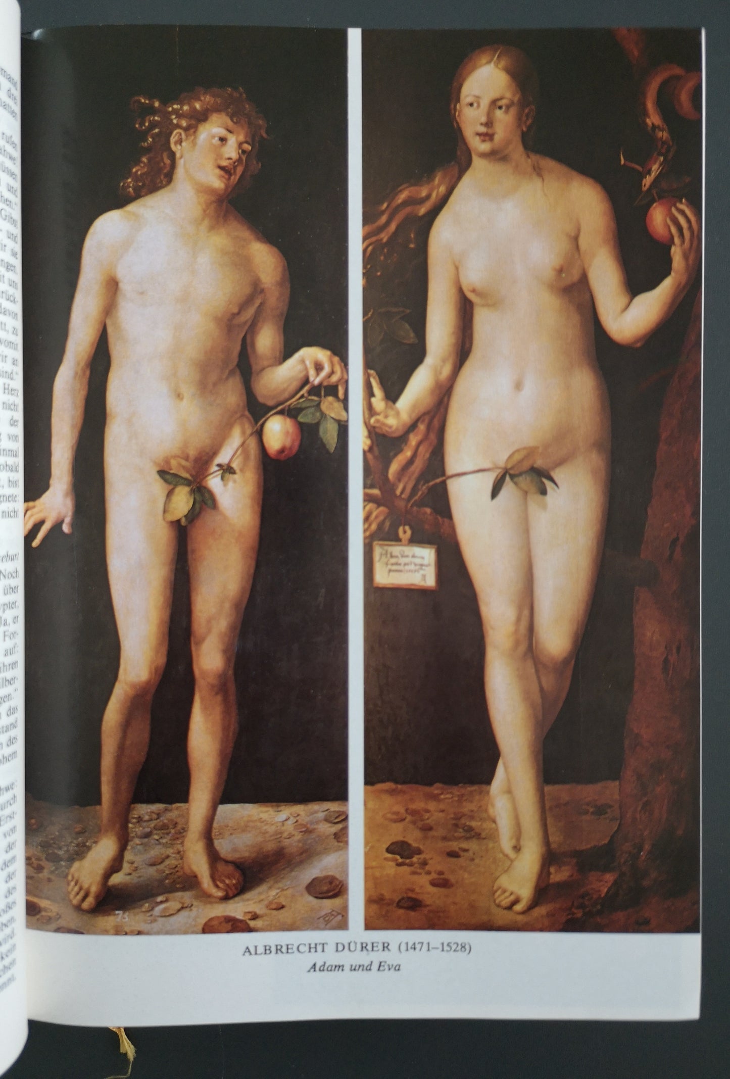 Die Bibel - Die heilige Schrift des alten und neuen Bundes