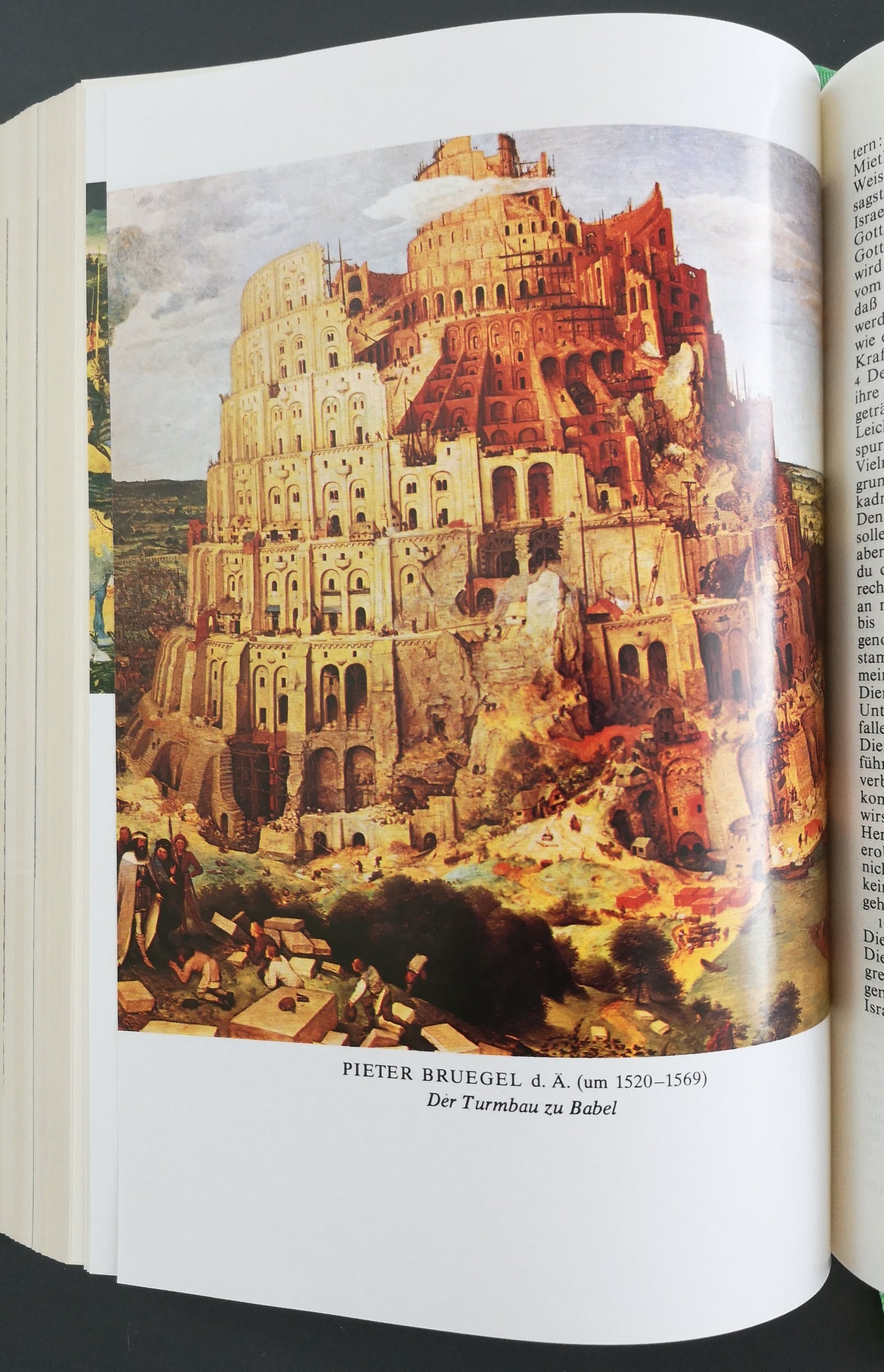 Die Bibel - Die heilige Schrift des alten und neuen Bundes