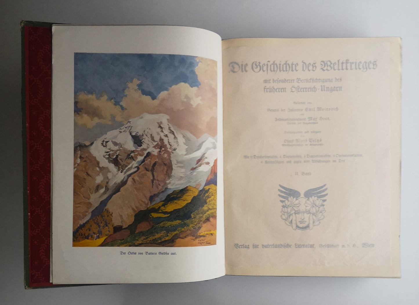 Die Geschichte des Weltkrieges - Band 2+3