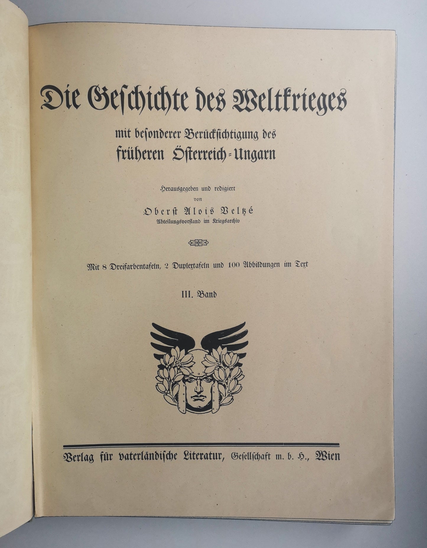 Die Geschichte des Weltkrieges - Band 2+3