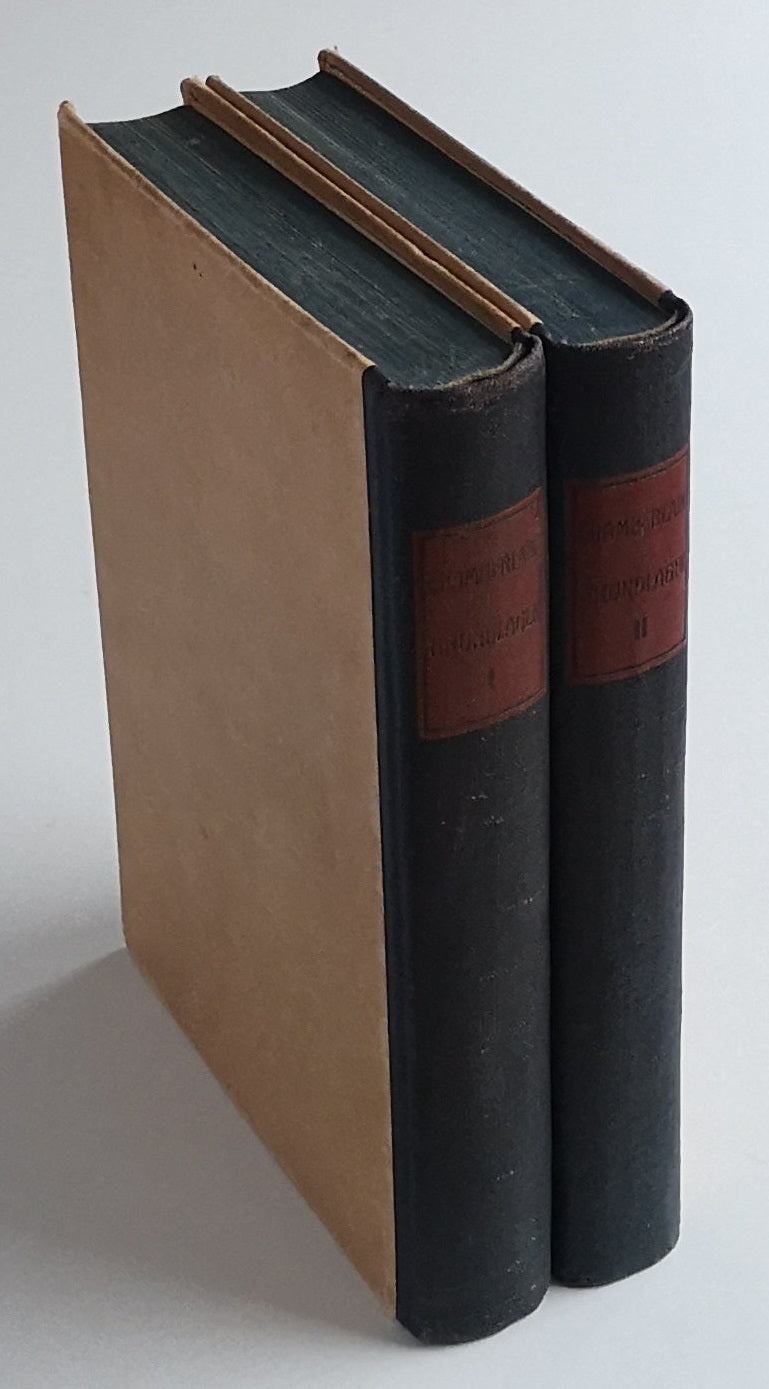 Die Grundlagen des neunzehnten Jahrhunderts - 2 Bände