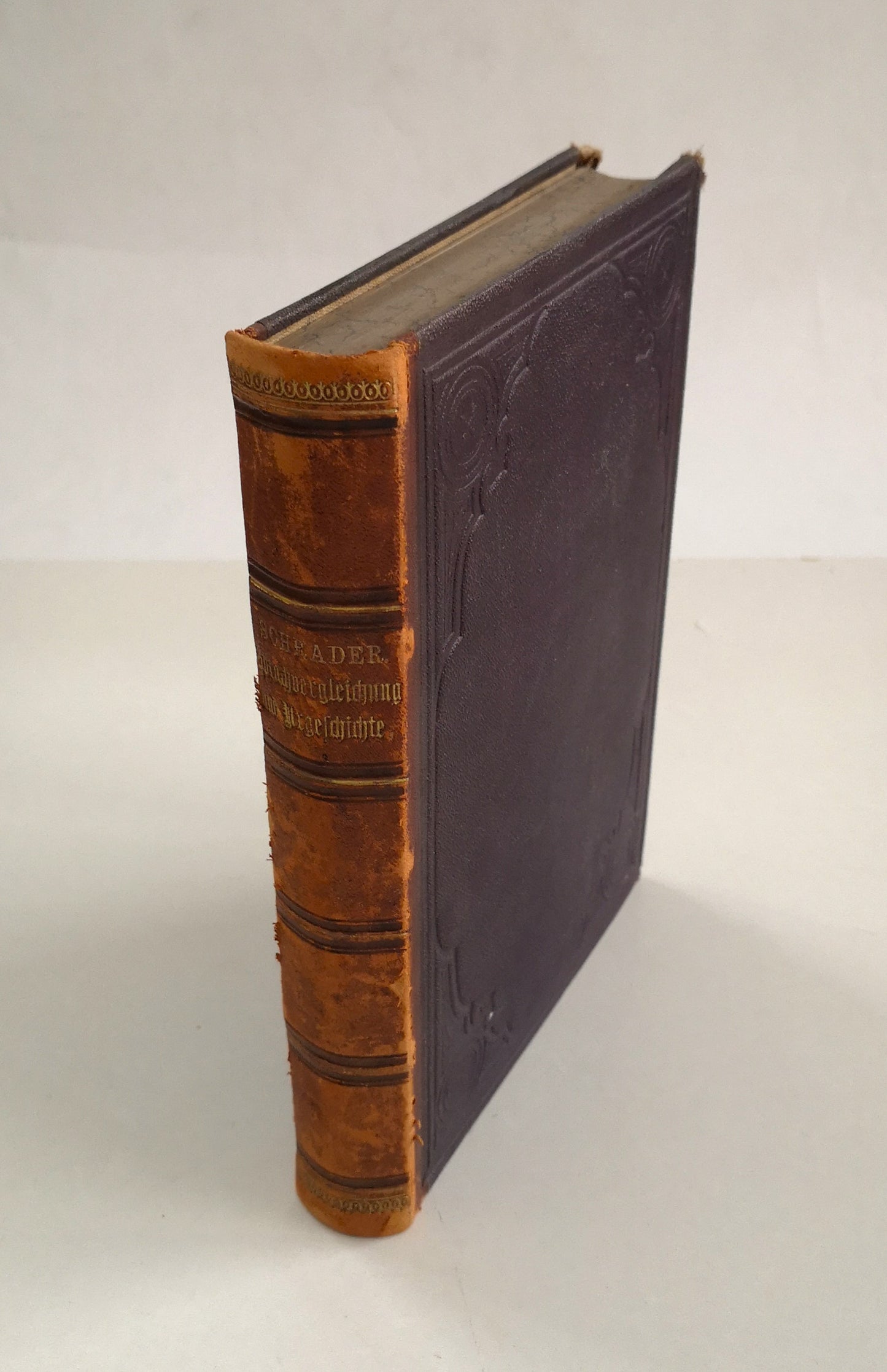 Sprachvergleich und Urgeschichte - schönes Exlibris